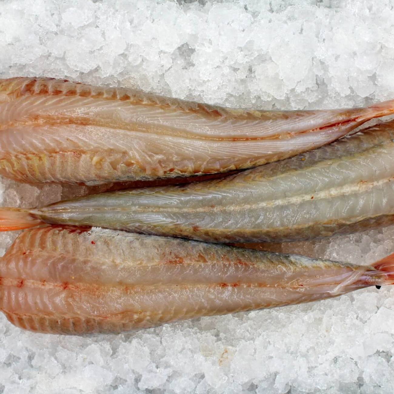 Noordzee pakket 2 personen + zalm